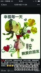 女子網(wǎng)購加菲貓收到死貓賣家：找警察也沒用