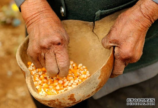 組圖：秦皇島94歲老母親照顧病弱在床兒子幾十年 