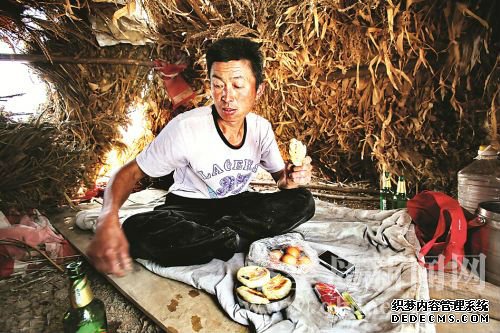 方立平在山上用玉米秸稈搭了一個(gè)窩棚，中午可以在里面吃飯、休息。