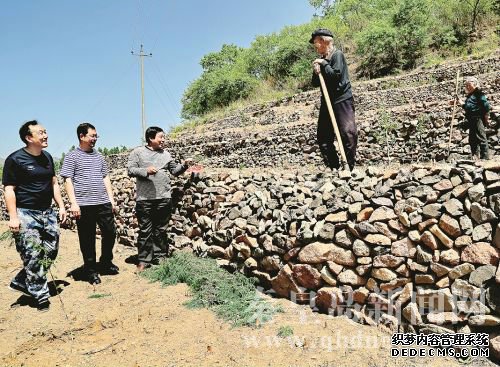 工作組來到村民的地里查看山楂樹長勢(shì)。 本報(bào)記者 馬衛(wèi)慶 攝