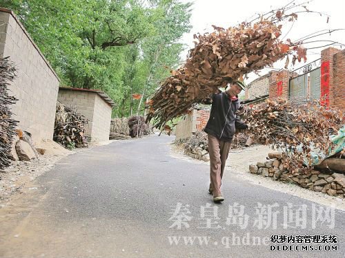 QQ截圖20160708094254