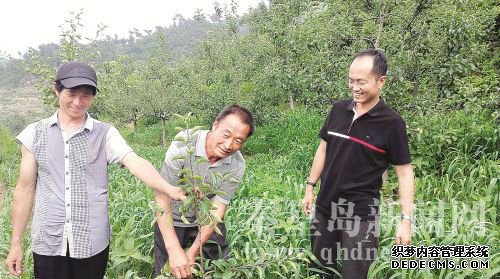 QQ截圖20160713092155