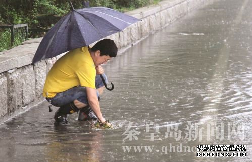 QQ截圖20160721094219