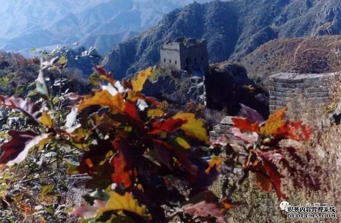 板廠峪捕蛇少年遭雷擊身亡是巧合還是報應(yīng)