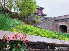 最新！秦皇島這14家景區(qū)將陸續(xù)開(kāi)放