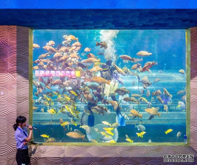 秦皇島十大景區(qū)教師節(jié)獻(xiàn)禮來啦！